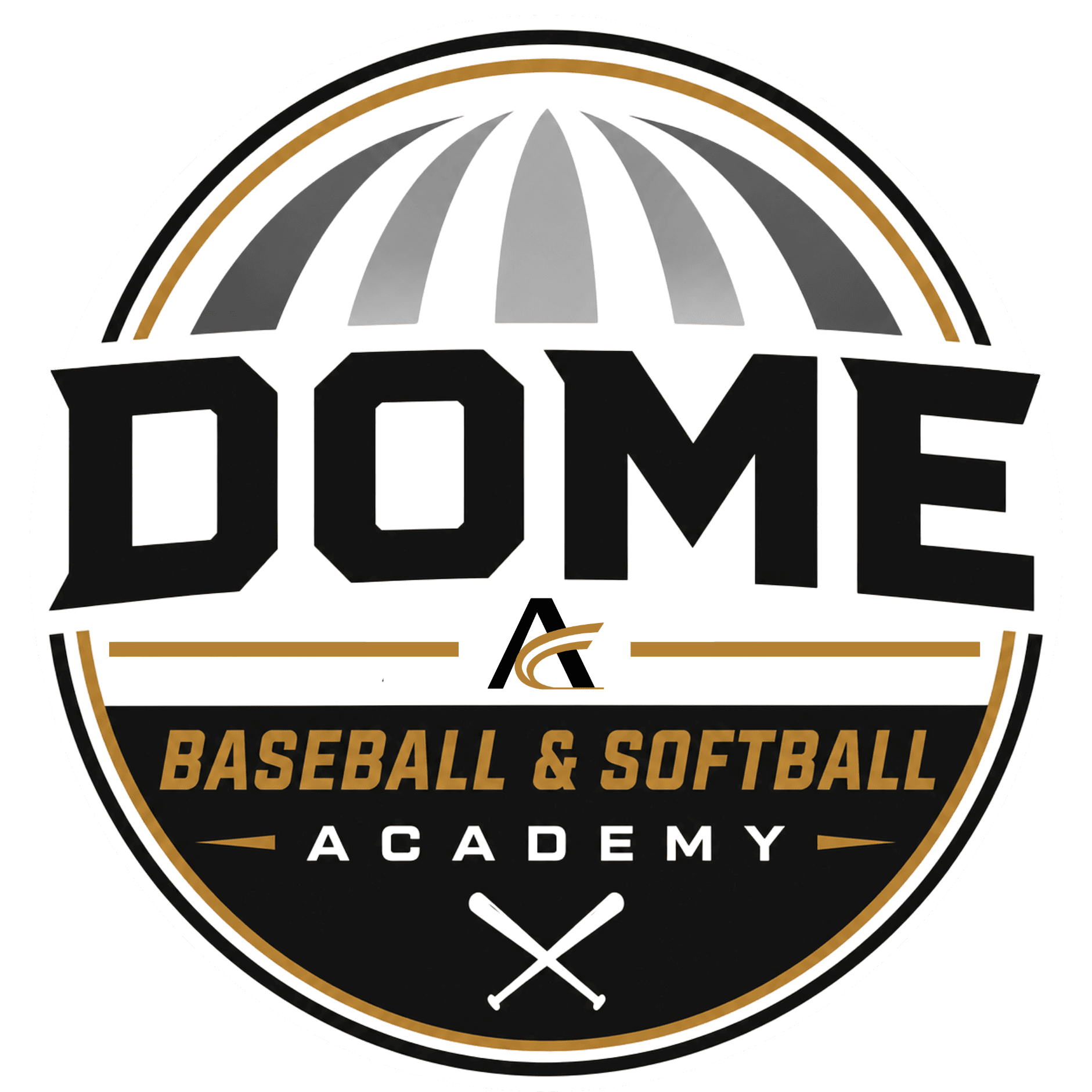 dome academy logo